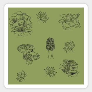 Woodland Mushrooms Sage 2 Sticker